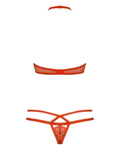 Biustonosz i stringi